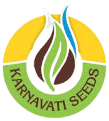 Karnavati Seeds logo