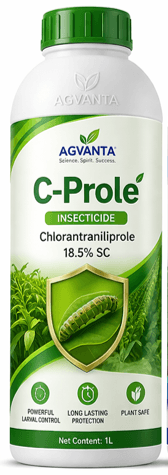 C-Prole
