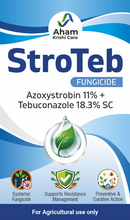 StroTeb
