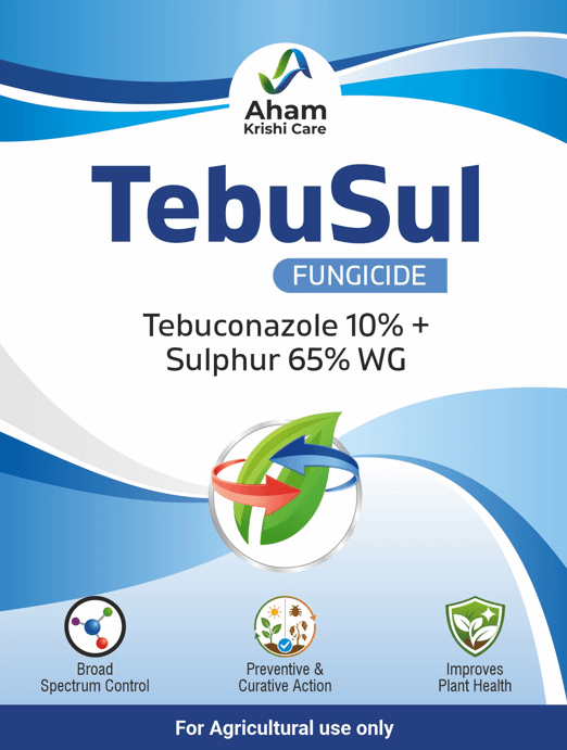 TebuSul